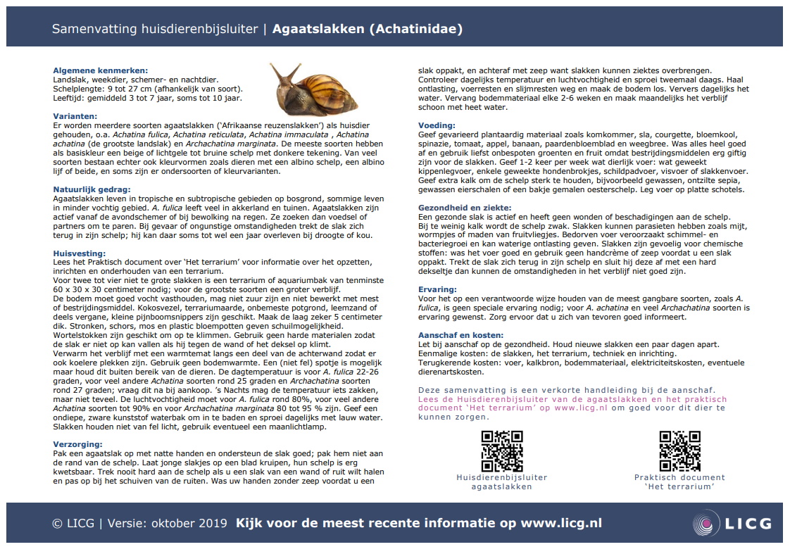 Agaatslak samenvatting, 10 stuks
