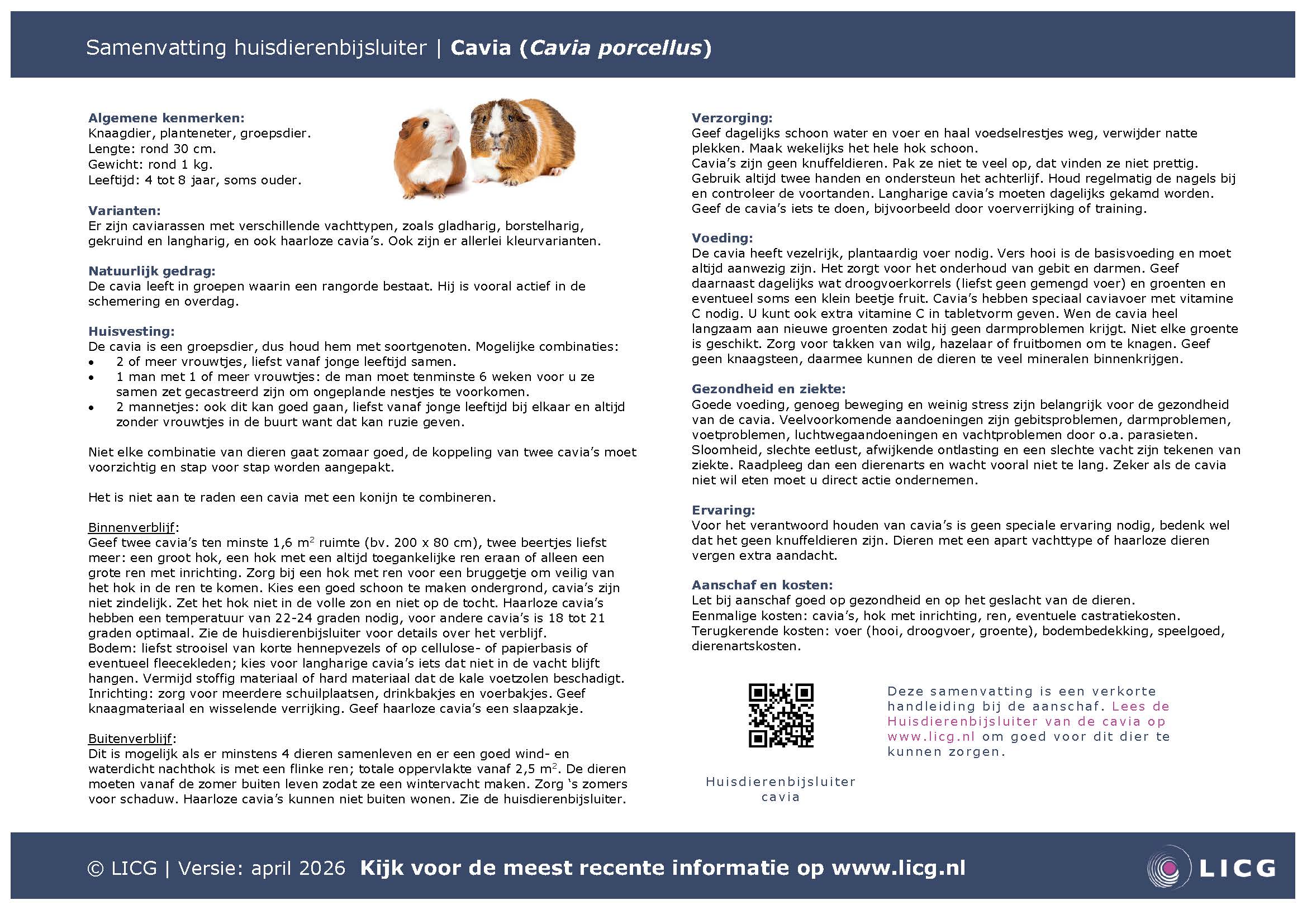 Cavia samenvatting, 10 stuks