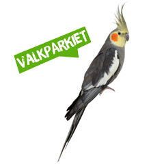 Spreekbeurt valkparkiet