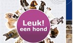 Bestel gratis folders Leuk een hond
