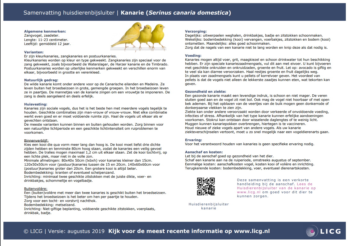 Kanarie samenvatting, 10 stuks