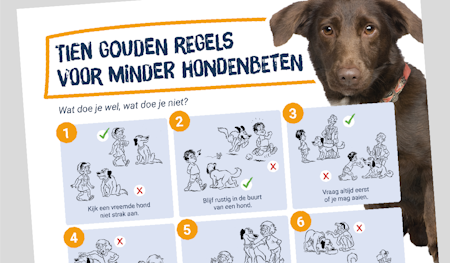 Bestel oorkondeposters