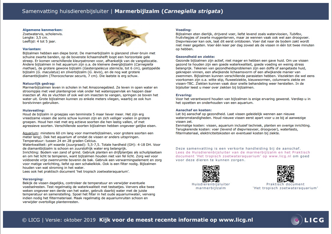 Marmerbijlzalm samenvatting, 10 stuks