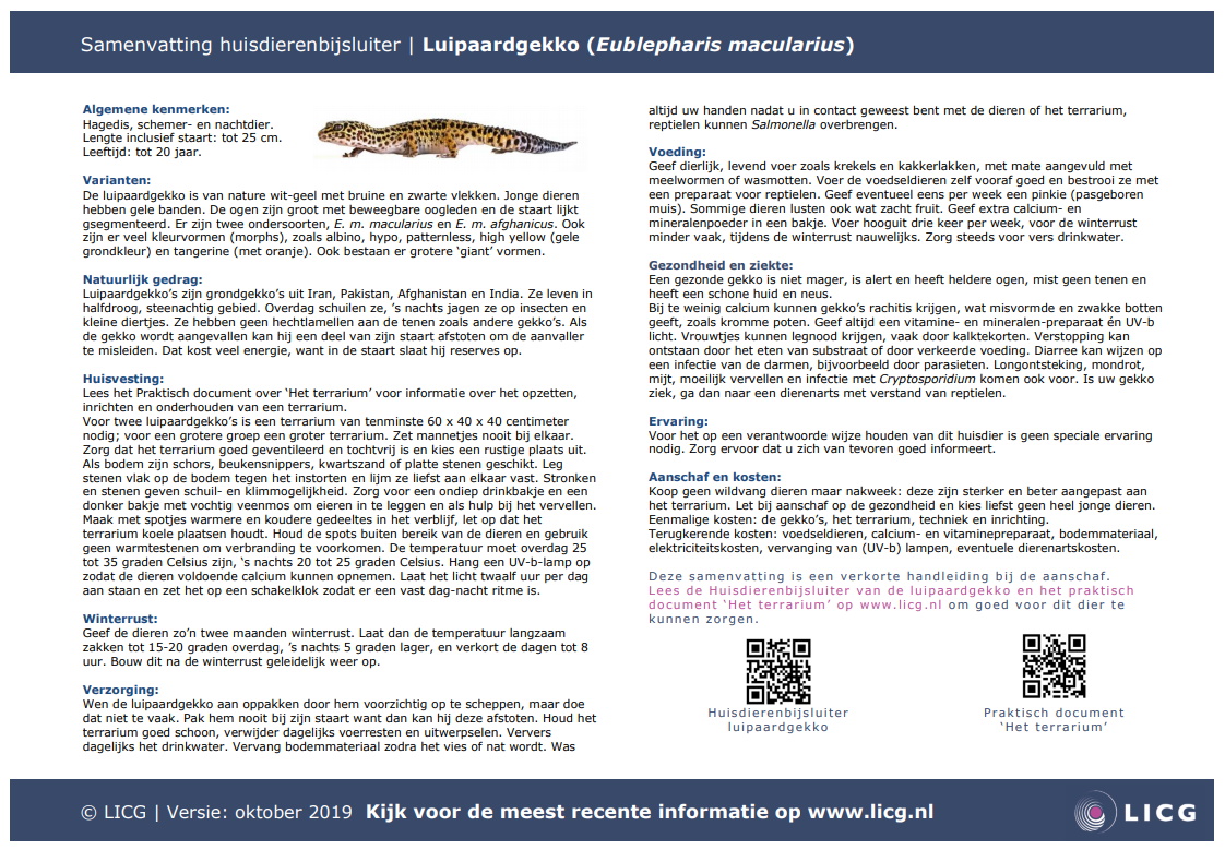 Luipaardgekko samenvatting, 10 stuks