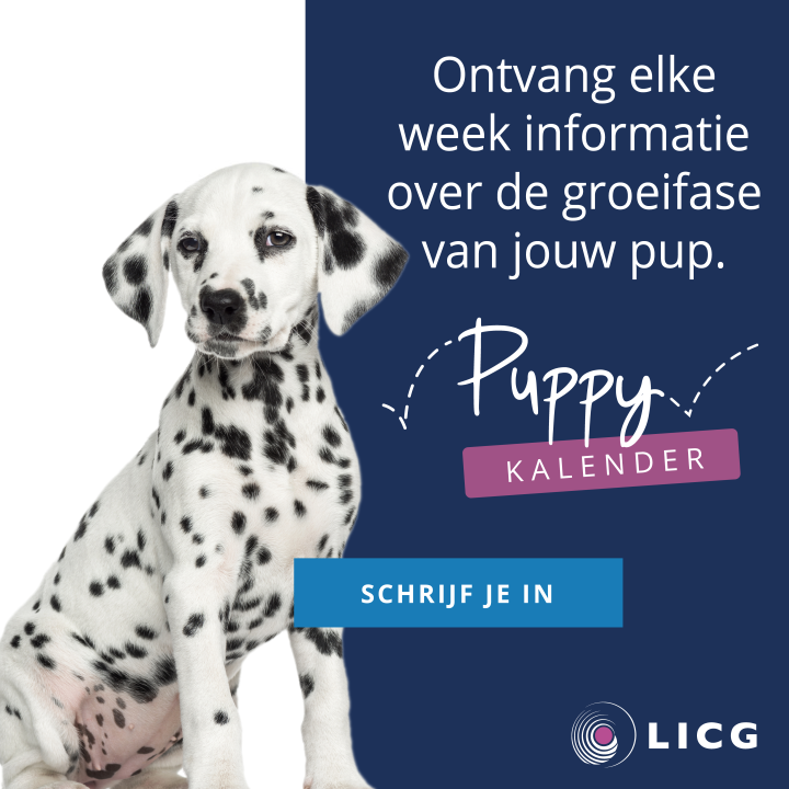 Banner puppykalender inschrijven dalmatier hoog