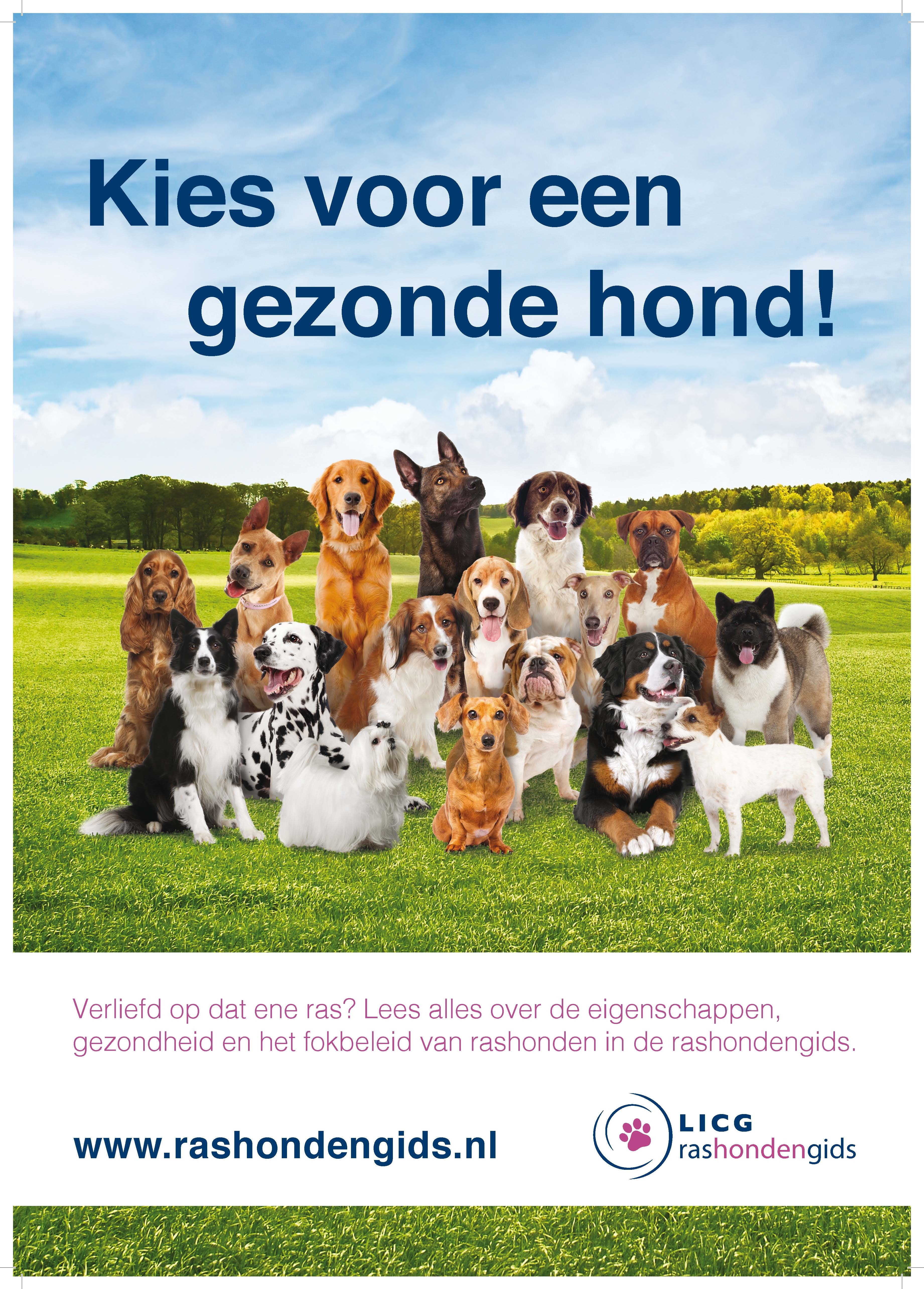 Poster Rashondengids A3