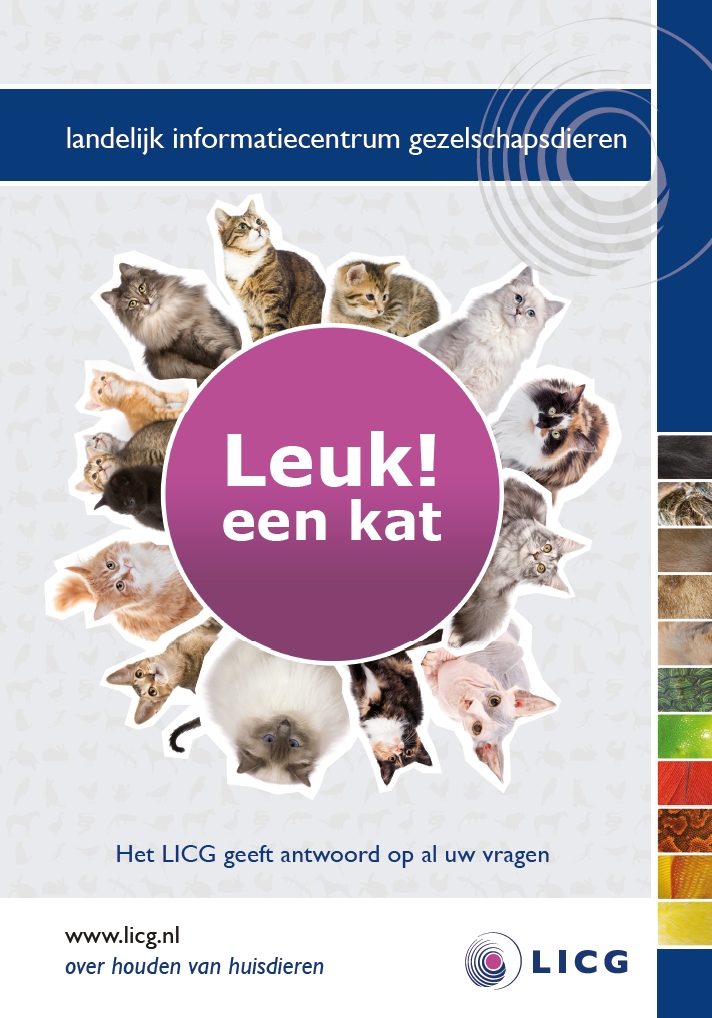 50 folders Leuk een kat