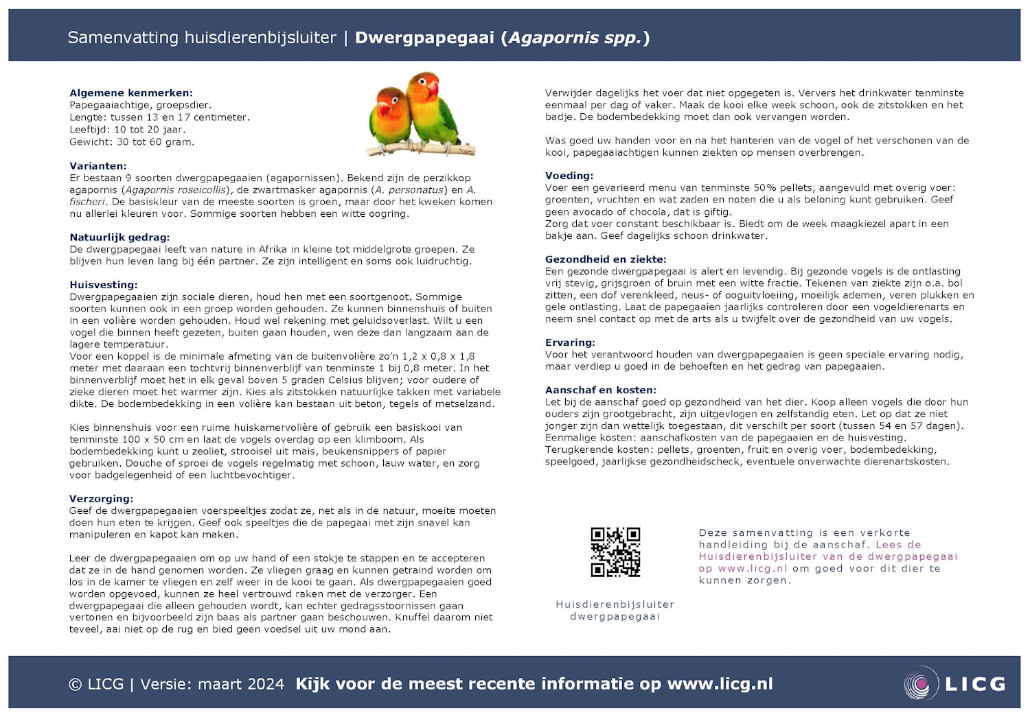 Dwergpapegaai samenvatting, 10 stuks