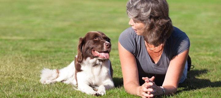 Ik wil een hond!