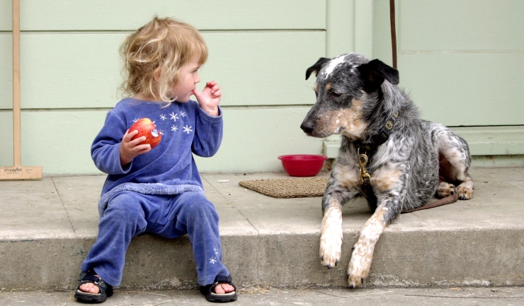 Kind en hond – houd het veilig