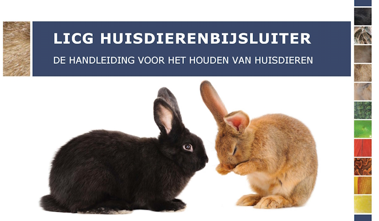 Verantwoord konijnen houden met de vernieuwde Huisdierenbijsluiter Konijn
