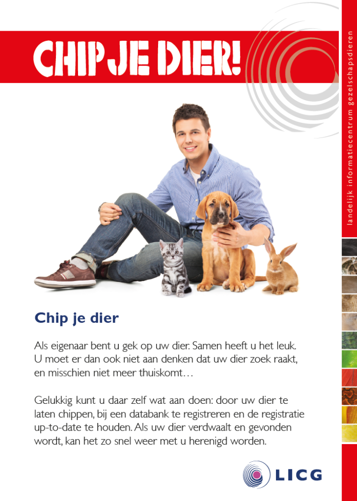 50 folders Chip je dier!