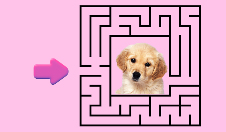 Waar koop ik mijn pup?