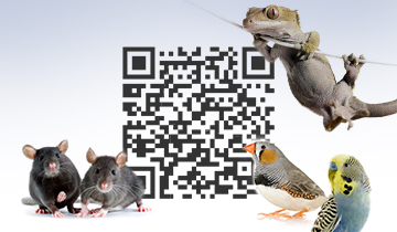 QR-Codes
