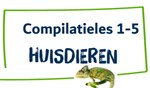 Handleiding digibordles totaal
