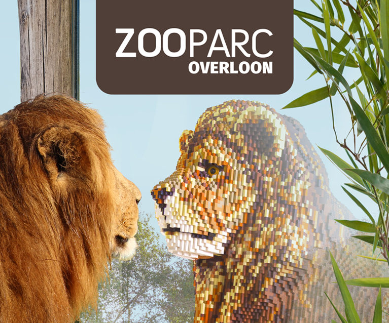 BRICKLIVE Zooparc, Overloon