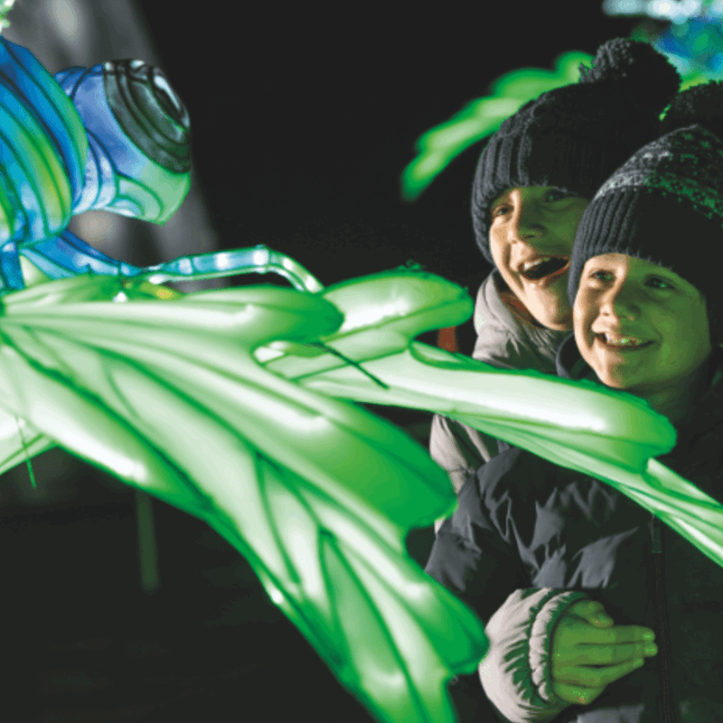 Two children in winter clothing enjoying the lanterns at the Festival of Light