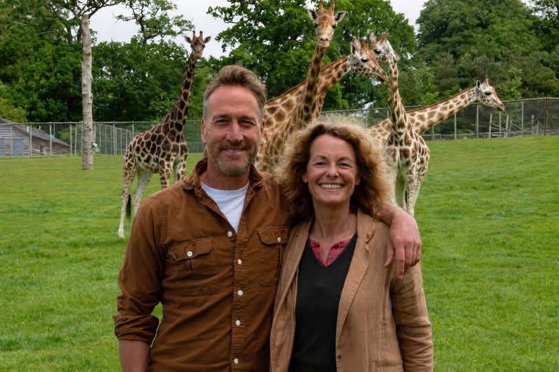 Ben Fogle and Kate Humble pose in front of the giraffes