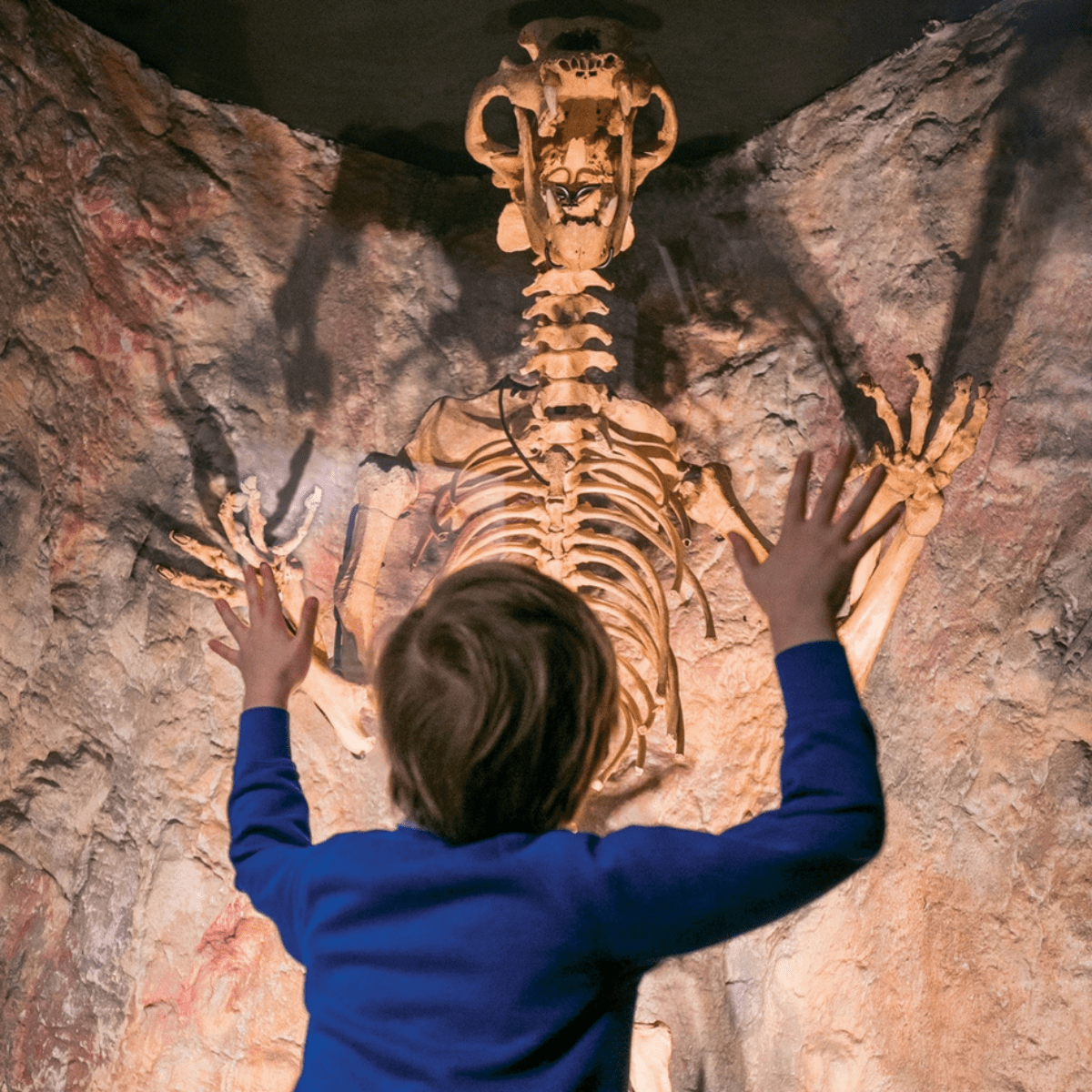 A young student looks up at a skeleton display in the museum of prehistory