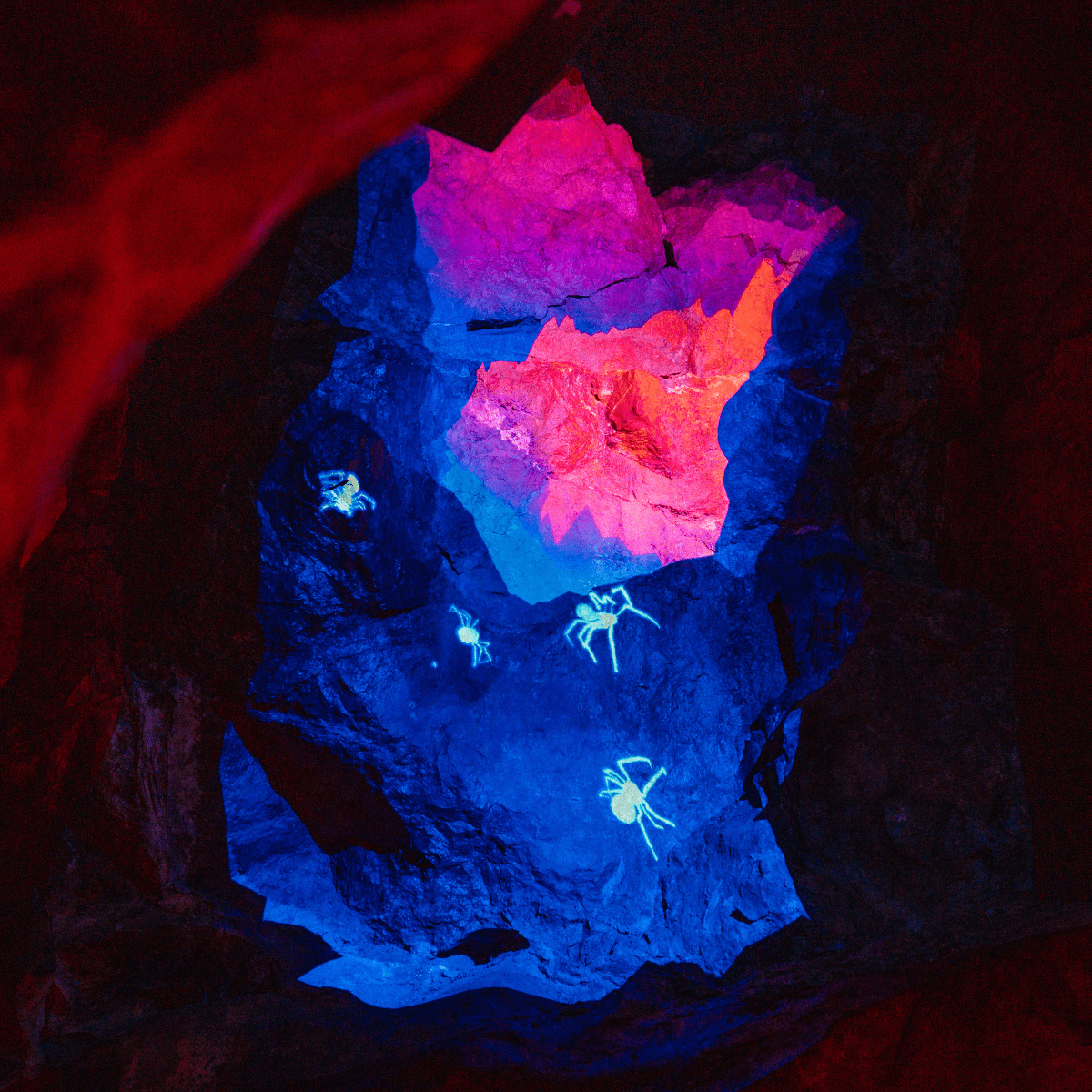 A light projection in Cox's cave with bright pink and blue hues