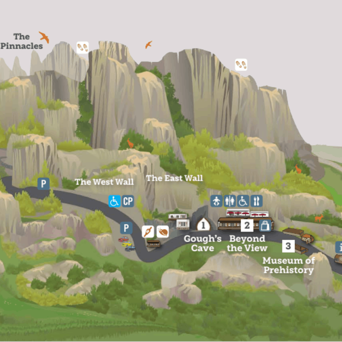 Your Guide to Cheddar Gorge & Caves