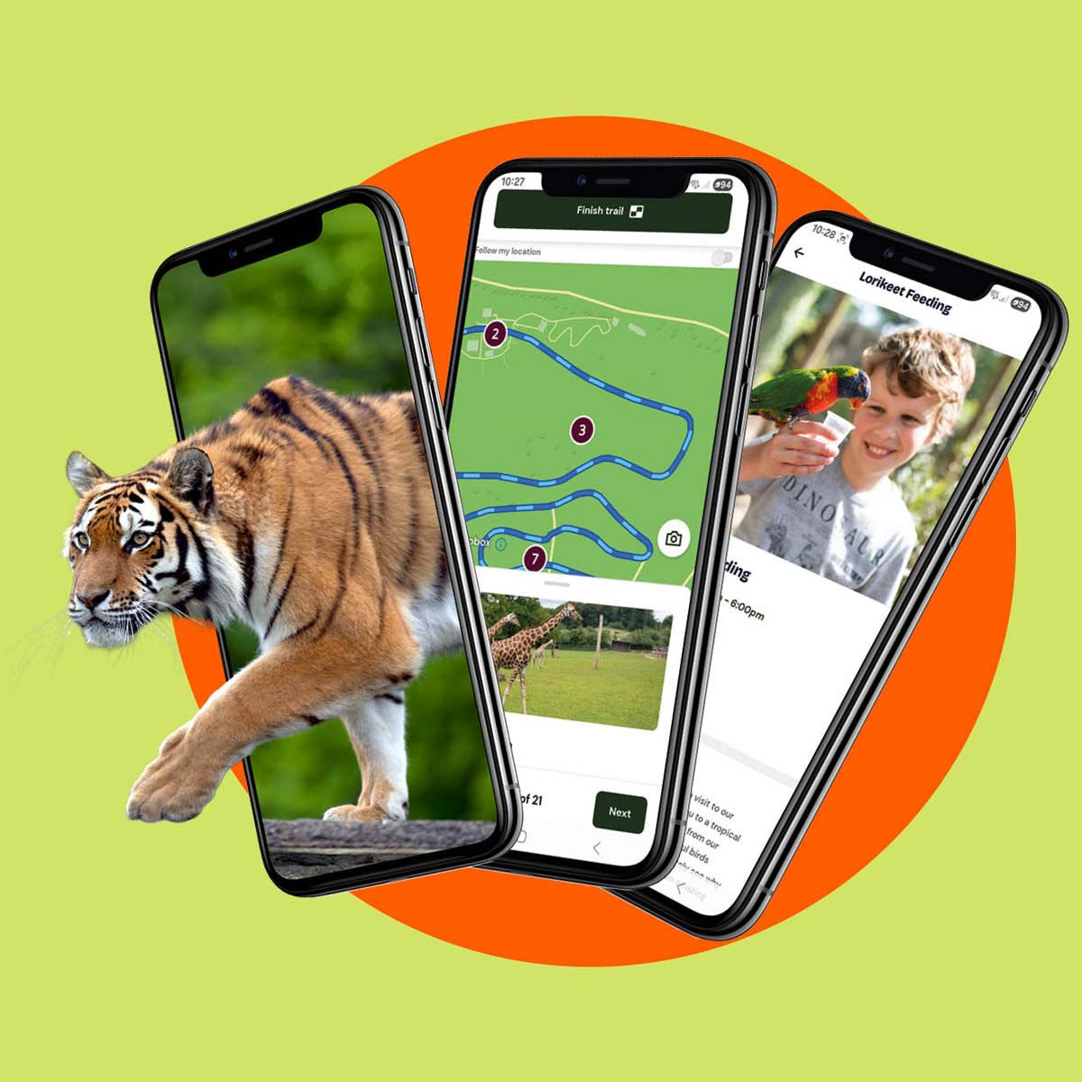 A stylised image representing the Longleat mobile app with 3 mobile phones, one with a map of a safari trail, one showing Lorikeet feeding and one with a tiger walking out from the screen.