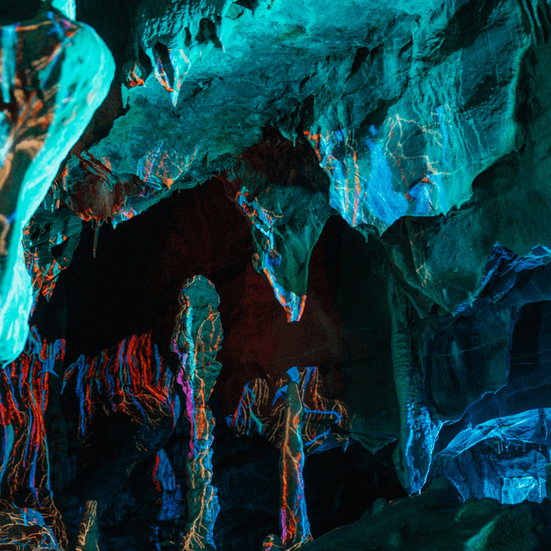 A look up into the ceiling structures of Cox's cave with the light projections colouring the walls