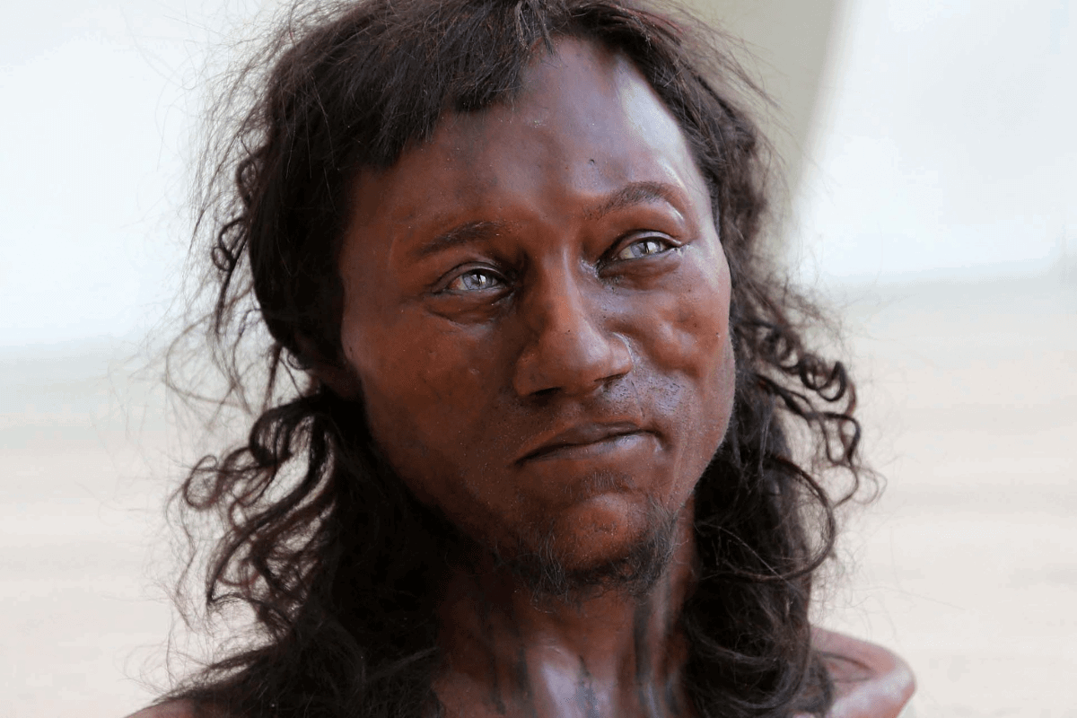 A reconstruction of Cheddar Man, created by the Natural History Museum, using DNA and a sequencing technique which allowed them to map out physical traits