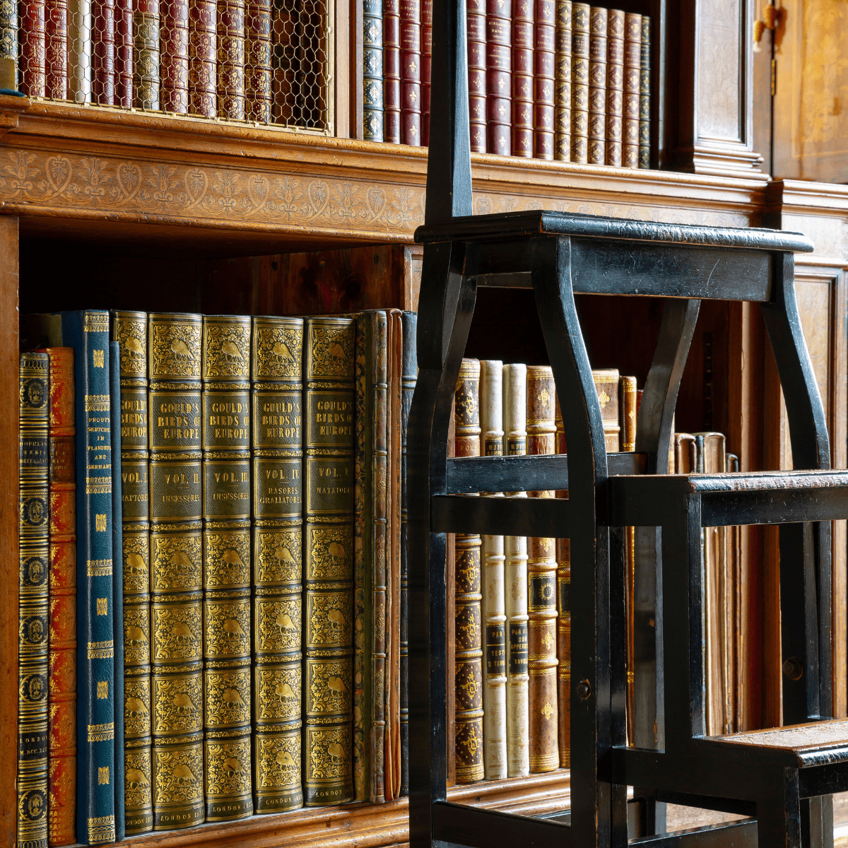 A close up of some of the special library books with a ladder perched next to the shelf