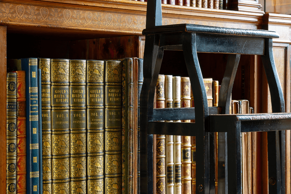 A close up of some of the special library books with a ladder perched next to the shelf
