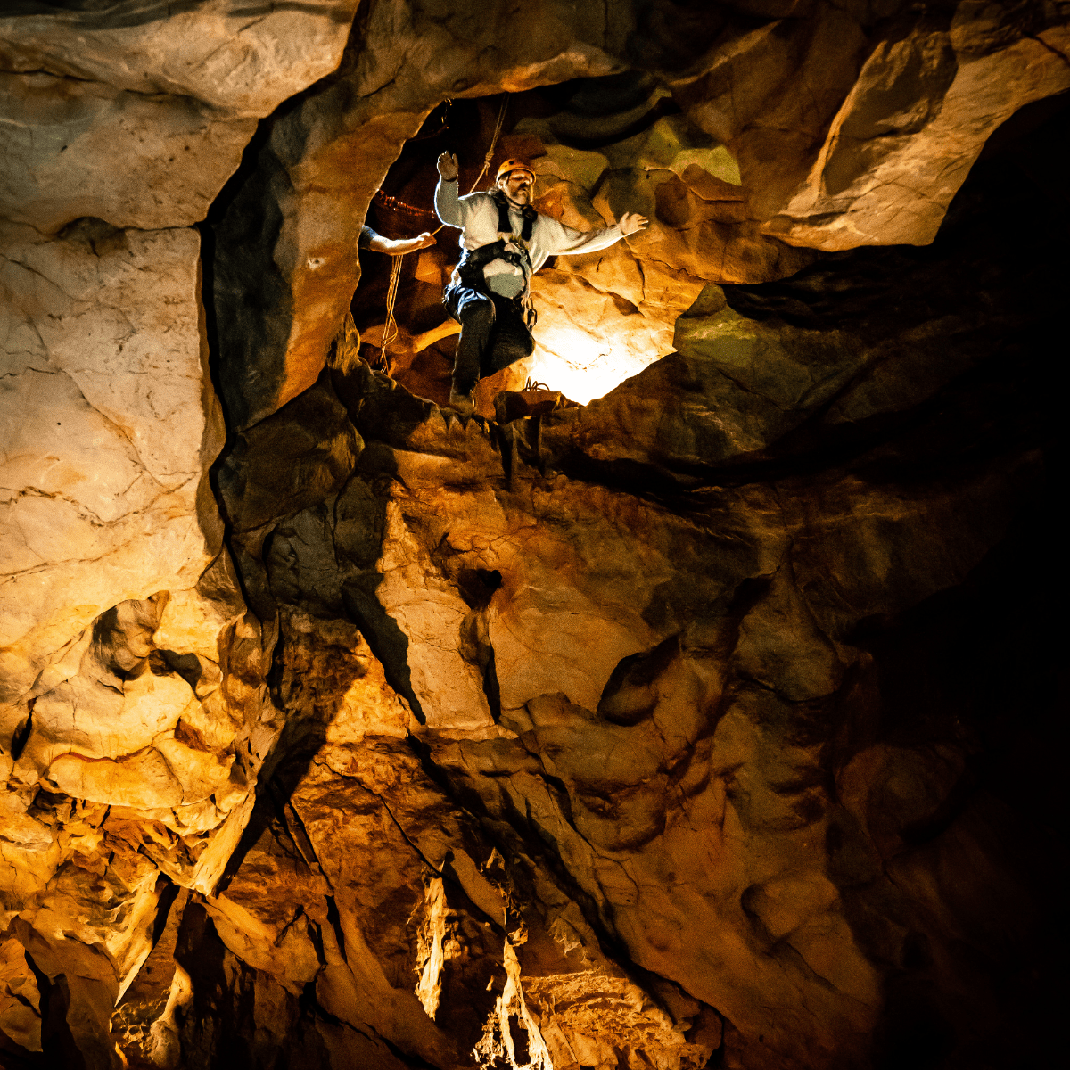 A visitor jumps from the drop during the Black Cat Freefall, with arms outstretched.