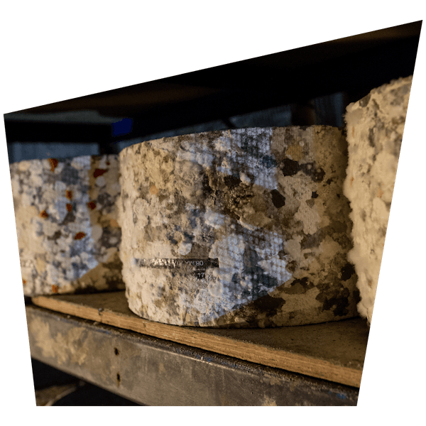 things to do at cheddar gorge and caves - shopping for cheese - large cheddar cheese stored in somerset's famous cheddar gorge and caves available to buy