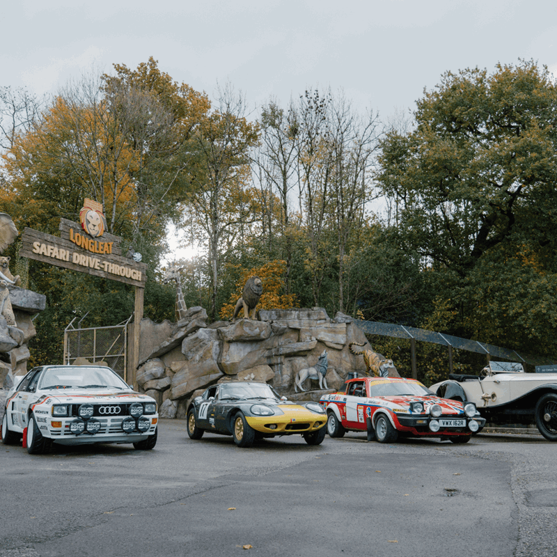 A range of classic, rally and vintage cars park in front of the Drive-Through Safari entrance to promote the Motor Show Weeekender