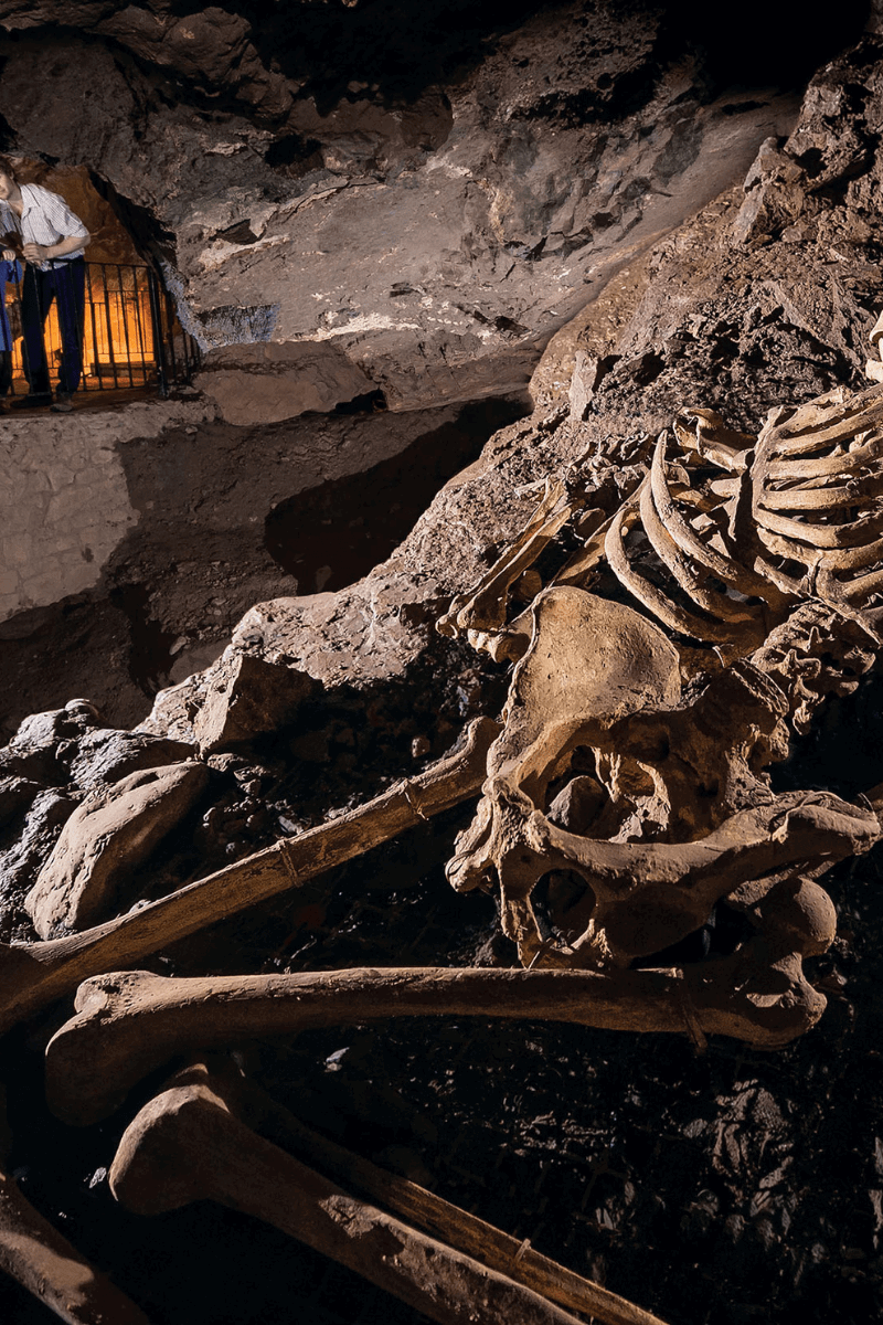 The replica skeleton of Cheddar man in Gough's Cave lays on the ground as a family looks on in interest