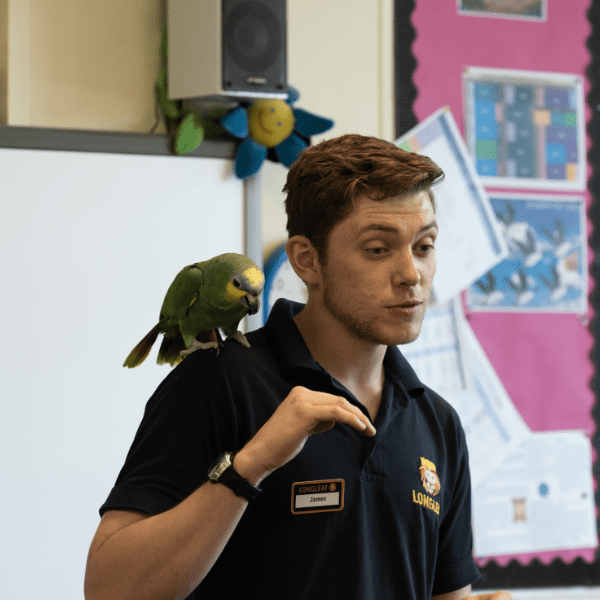 A keeper delivers a talk in a classroom whilst a green bird sits on his shoulder