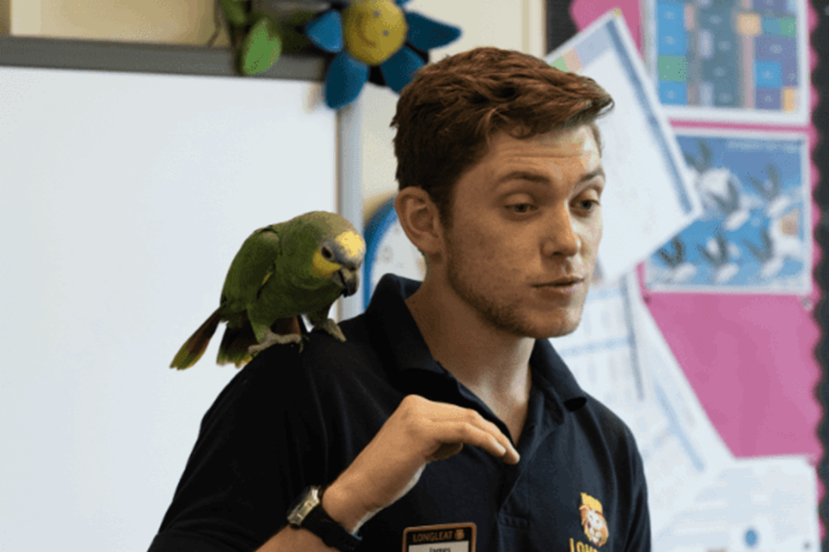 A keeper delivers a talk in a classroom whilst a green bird sits on his shoulder