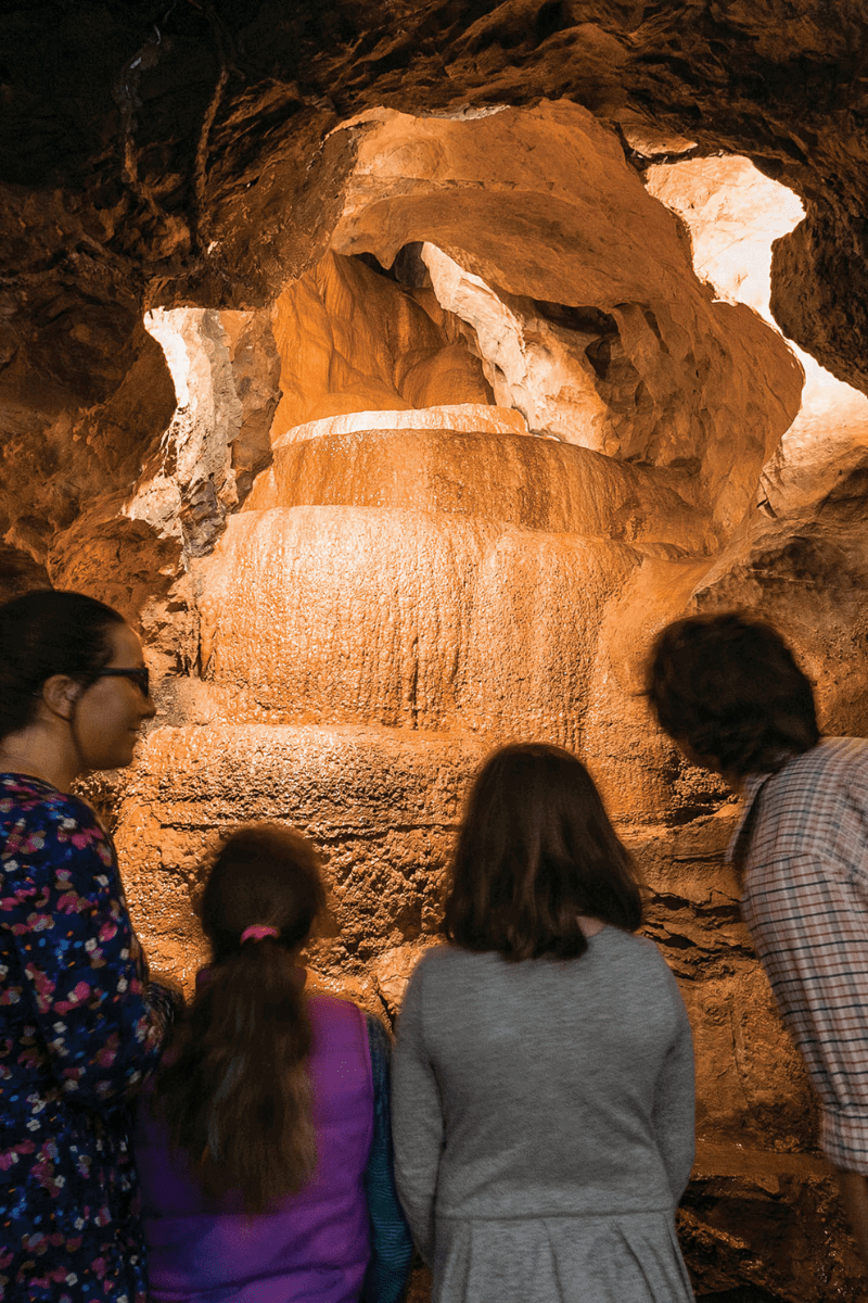 A family look up into a section of Gough's cave as water trickles down the cave structures