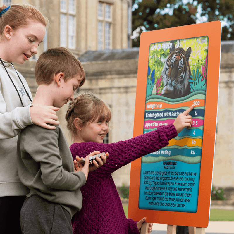 Young children looking at a giant Top Trumps card in front of Longleat House