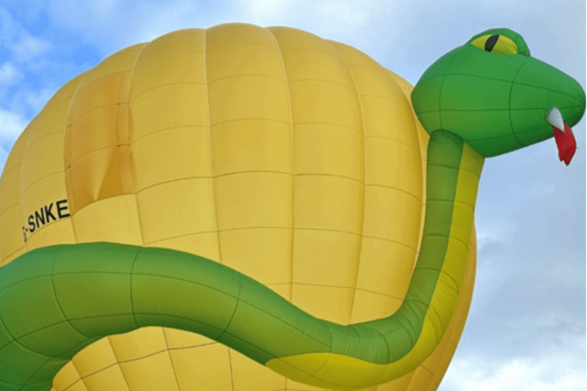 A bold yellow balloon with a green snake wrapping around it.