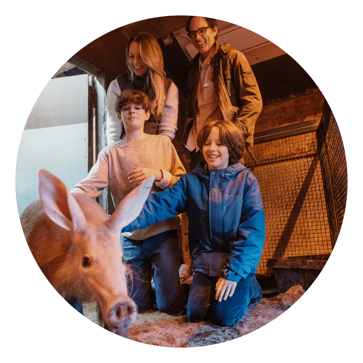 A family, with children crouching look at the aardvark in its habitat