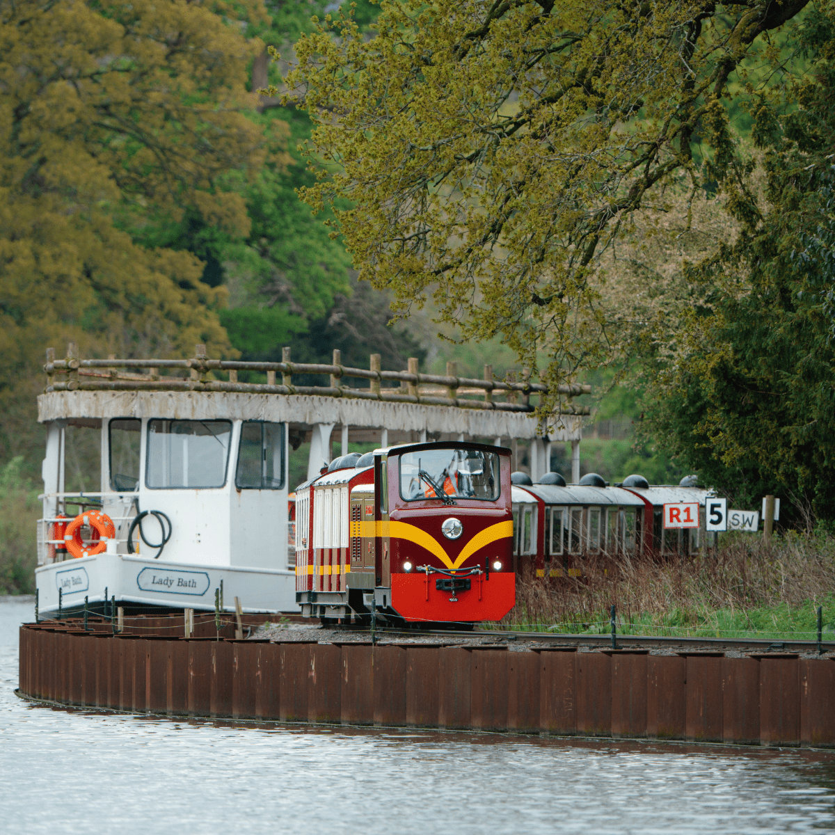A shot from across Half Mile Pond showing the Longleat Express on land, next to one of Longleat's Boat Safari experiences