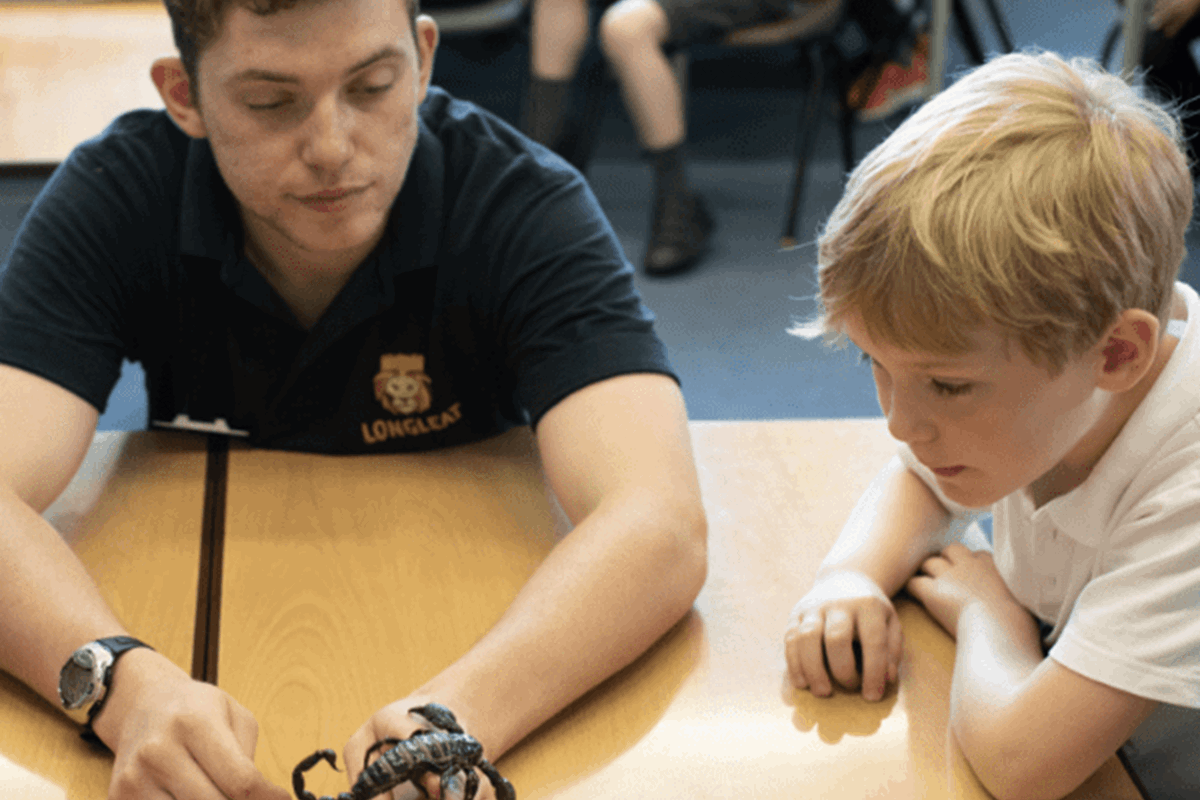 A scorpion being held by a keeper in a classroom as a schoolchild looks on