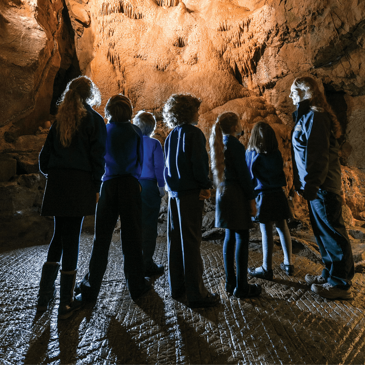 A group of students, with an education leader look up at the incredible rock formations in Gough's cave