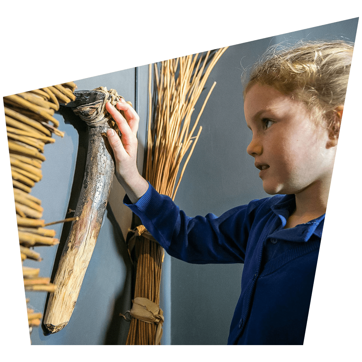 A young school child looks closely at a display in the Museum of Prehistory