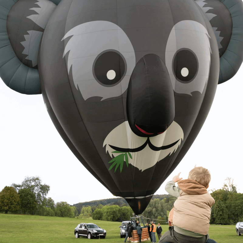 Adelaide the koala with a child on a man's shoulders