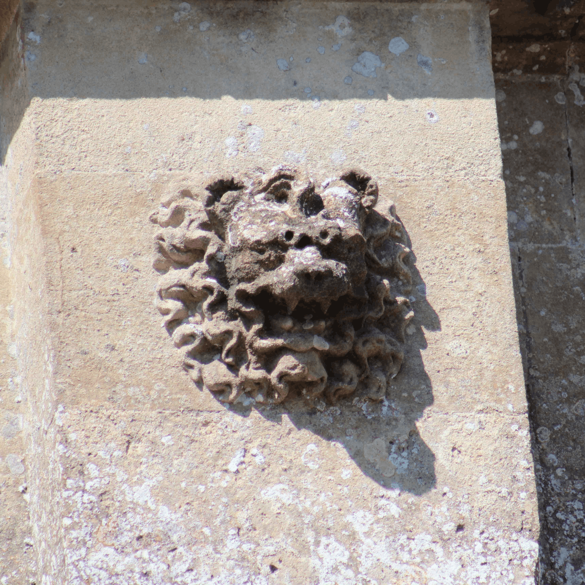 A concrete depiction of a creature attached to a wall