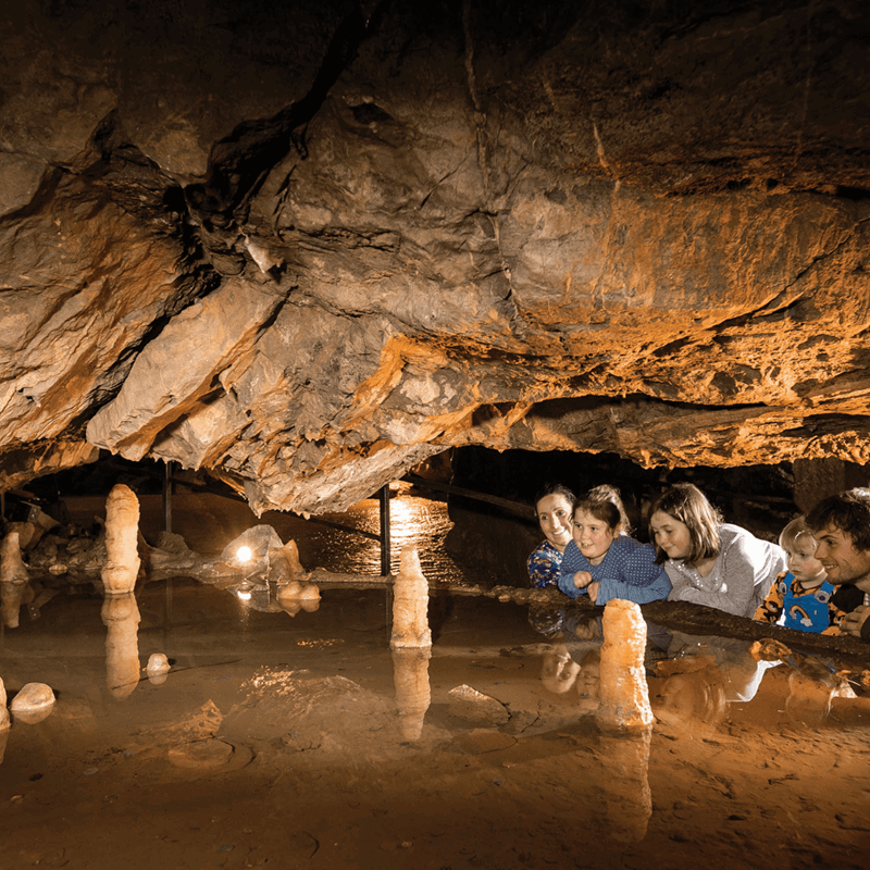 A young family peers into a section of Gough's cave with its impressive stalagmites