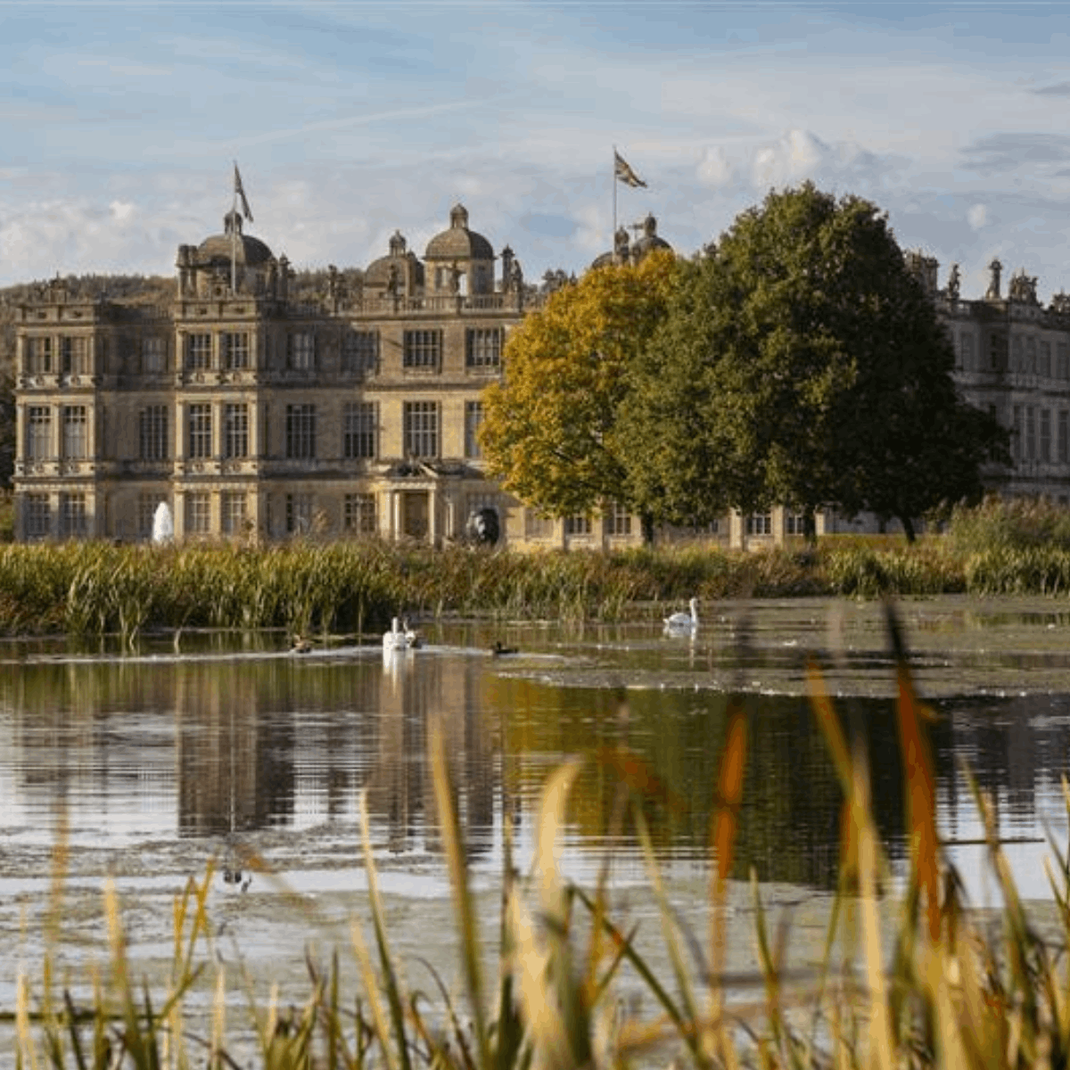 Longleat house with a lake in front and swans swimming 