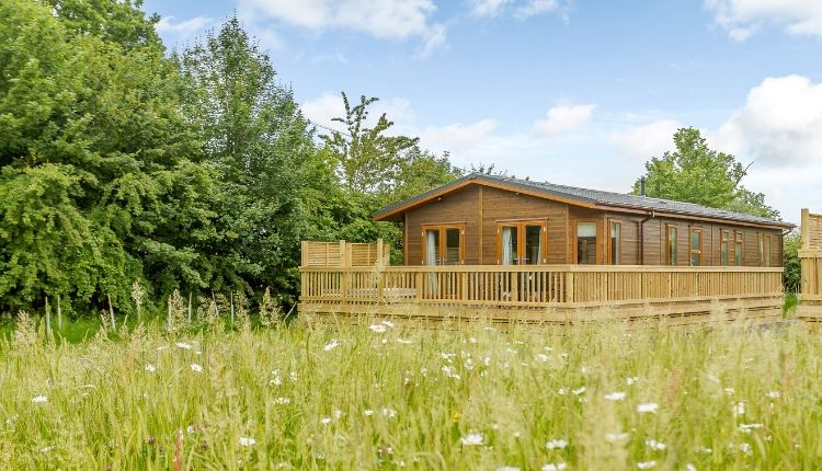 Brokerswood Holiday Park - A wooden cabin with fenced balcony set within a field of wildflowers and evergreen trees