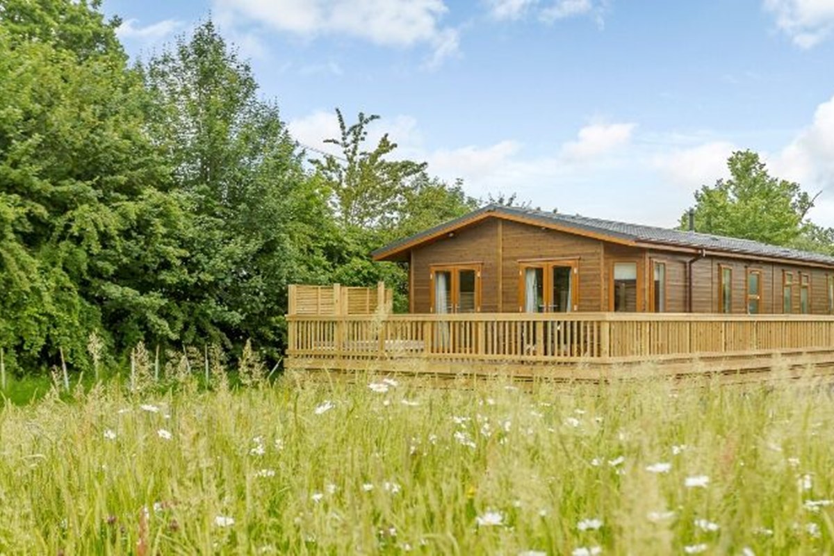 Brokerswood Holiday Park - A wooden cabin with fenced balcony set within a field of wildflowers and evergreen trees